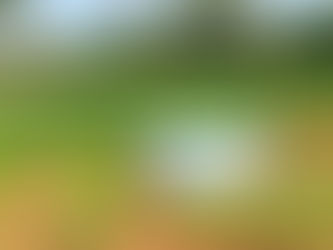 How to Upgrade a Septic Tank for Your Rural Property in Dade County, GA