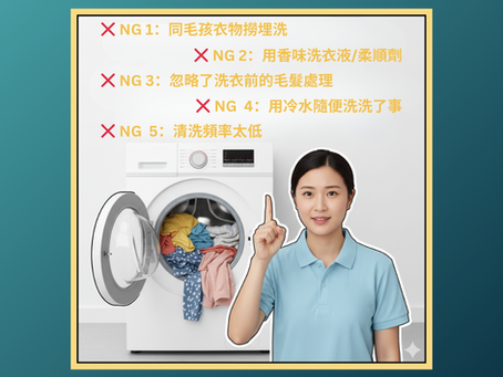 【主人必睇!寵物洗衣5大❌ NG位,您中咗幾多個?】