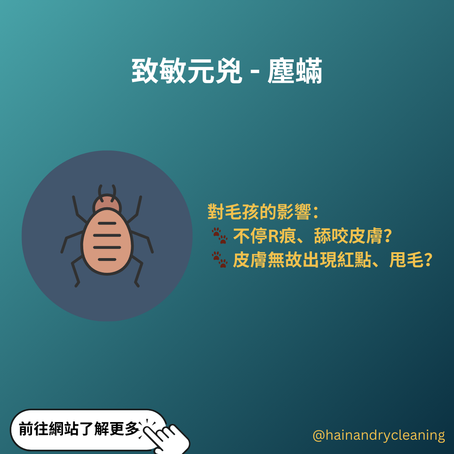 【毛孩健康警報🚨!您真的洗乾淨主子的床了嗎?】寵物洗衣店