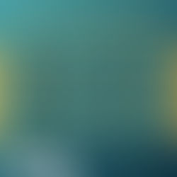 【計過條數,點樣洗寵物用品先係最精明?】