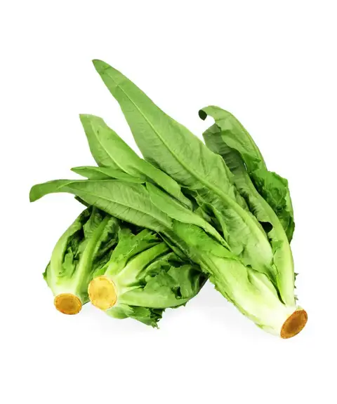 Chinese Leaf Lettuce