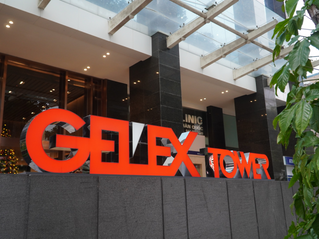 Developing GELEX Brand & the "360° Green" Strategy