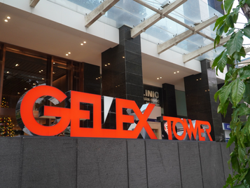 Developing GELEX Brand & the "360° Green" Strategy