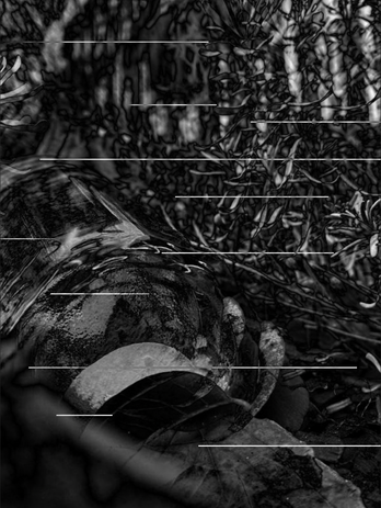 Screenshot 2023-01-10 at 09.22.28.png