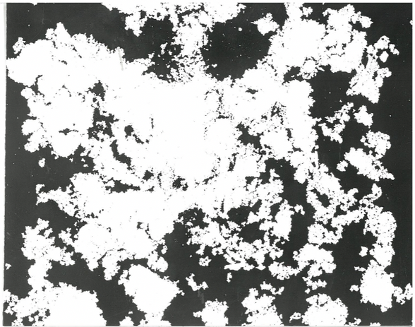 Screenshot 2023-02-15 at 12.32.20.png