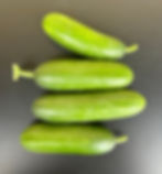 Concombre « Snack » (env. 500gr)