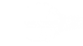 Untitled Design (1).png