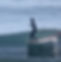 S__8495112_edited.jpg