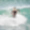 IMG_7146.jpeg