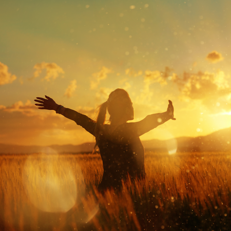 Your soul against society: How the world can make achieving your soul purpose harder.
