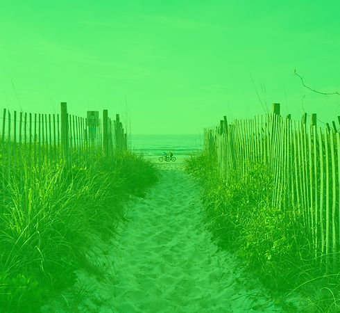 Beach Fench_edited.jpg