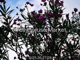 4-day Reuse Market