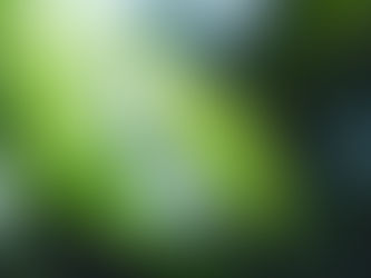 梱包資材リユースのお知らせ