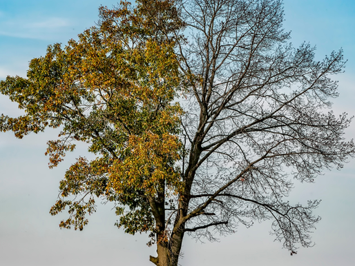 Mind Your Words:What you consistently speak, you eventually begin to live.