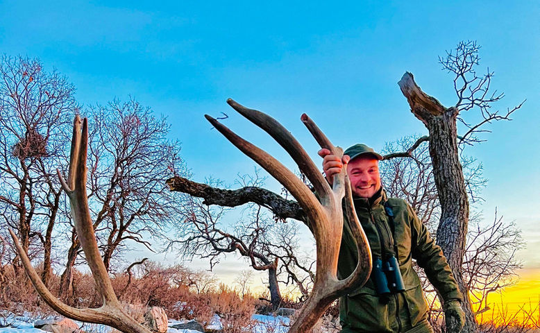 Elk 22 2