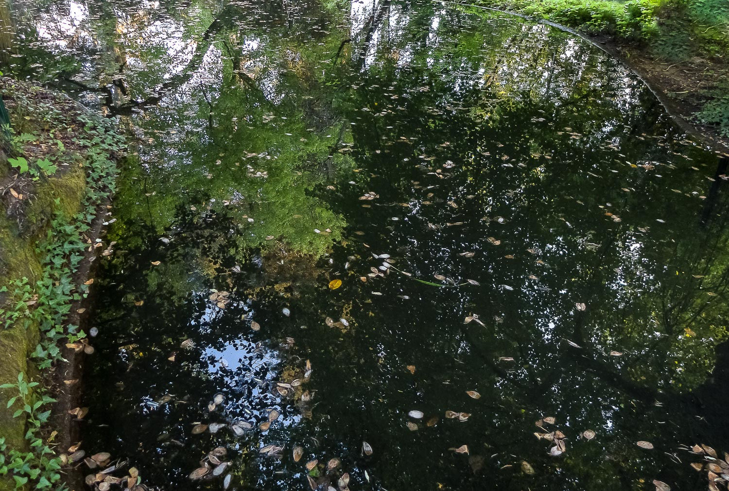 laguinho II Villa de Insua - Viseu - Portugal