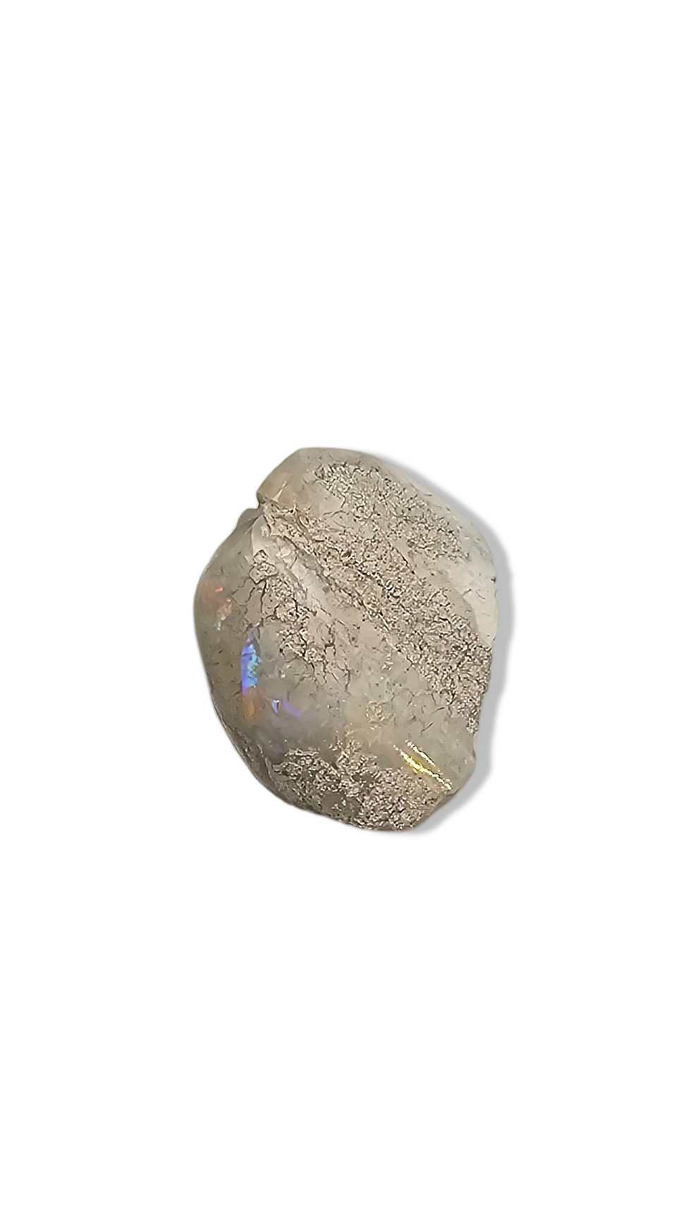Opalised Shell