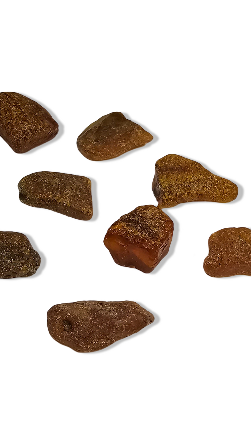 Thumbnail: Baltic Amber rough tumble
