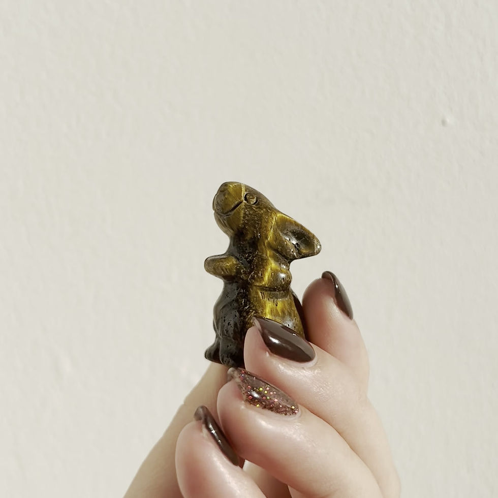 Thumbnail: Tigers Eye Hare