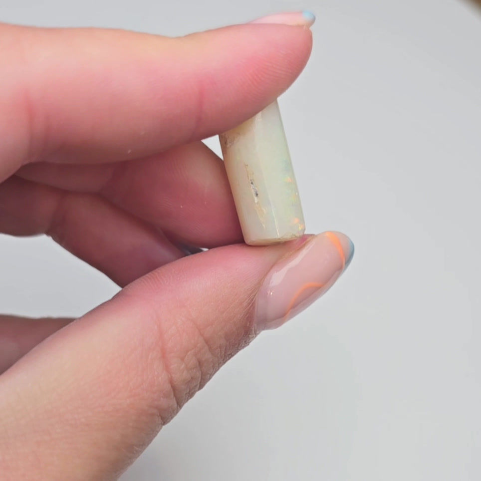 Thumbnail: Opalised Belemnite
