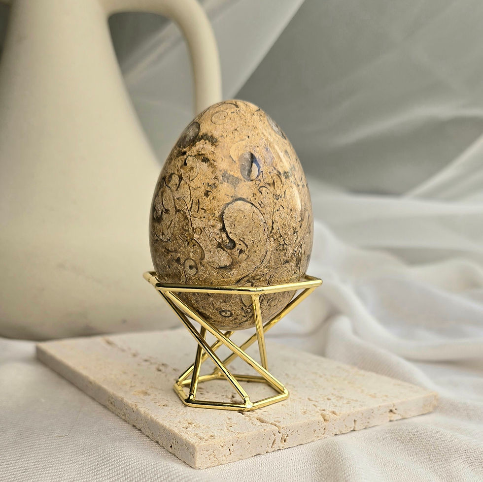 Medium Fossilstone Egg