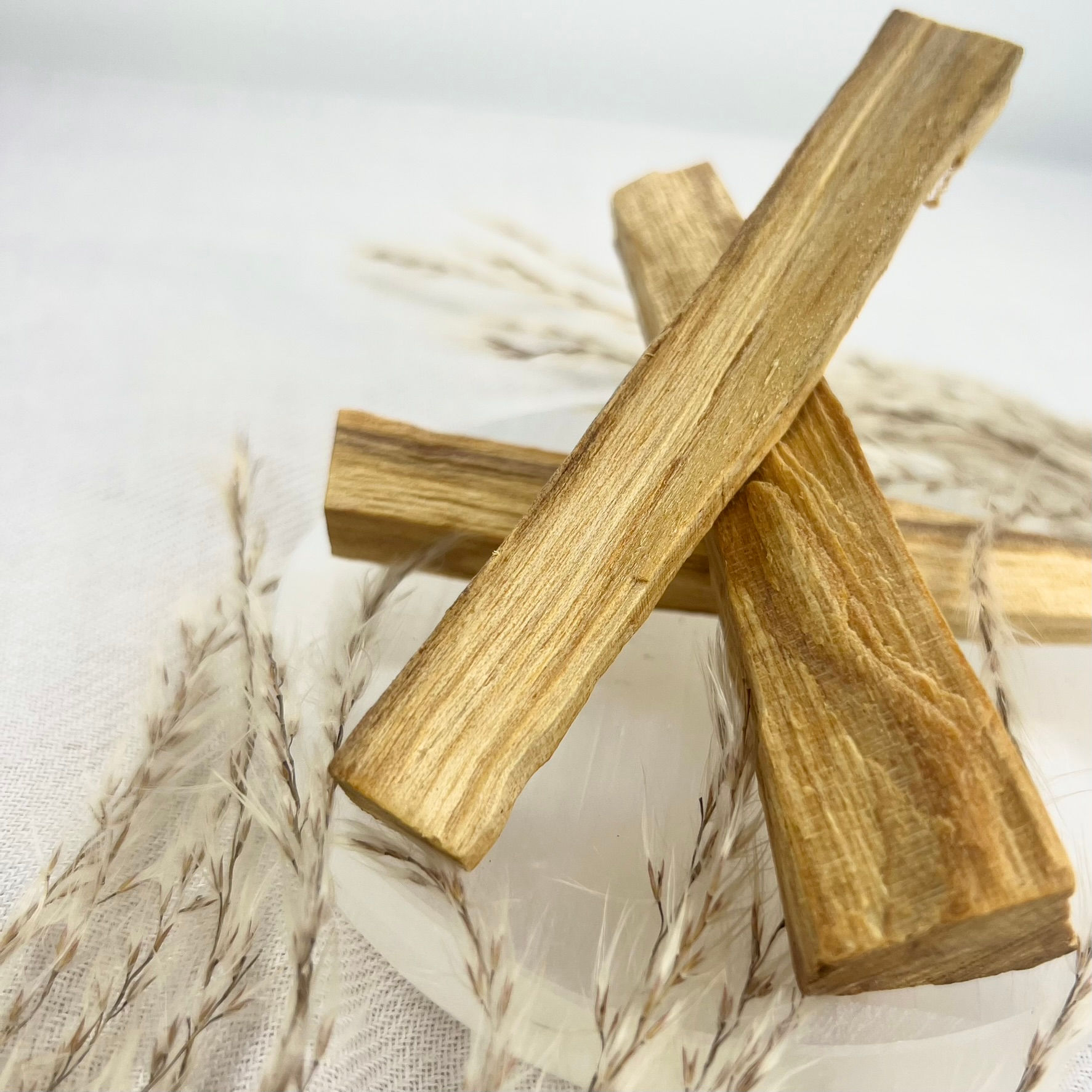 Palo Santo Smudge Stick
