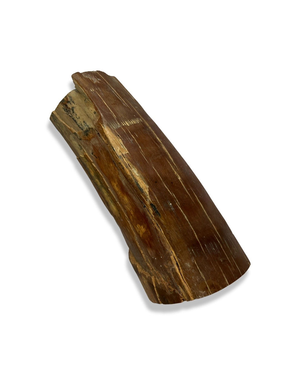 Thumbnail: Mammoth Tusk