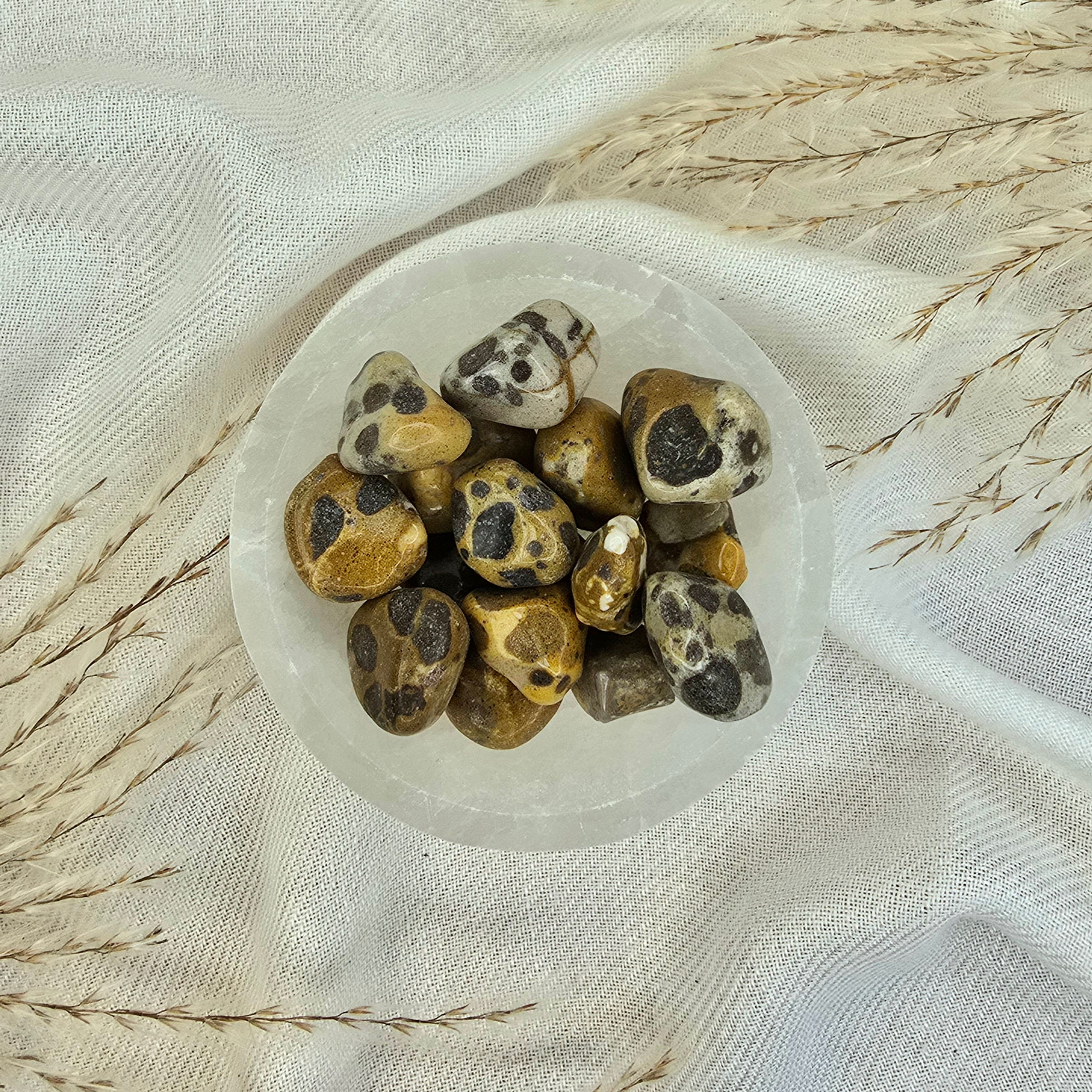 Leopard Jasper Tumble