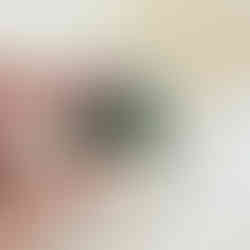 Ruby in Zoisite Tumble