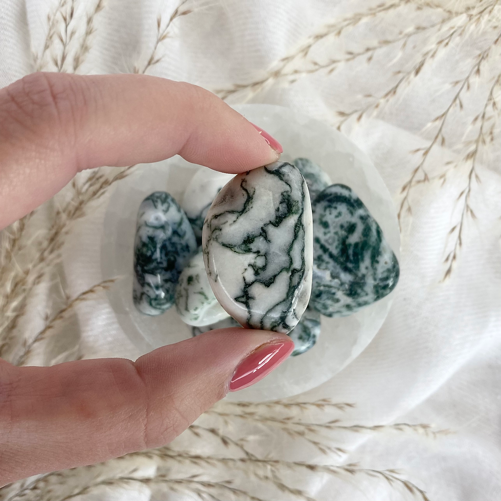 Thumbnail: Tree Agate Tumble