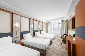 AncyrA Rose Hotel by Continent.jpg