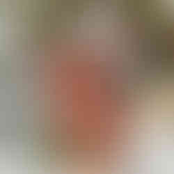 Lemax Toy Store for Christmas Village