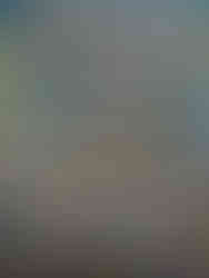 Hot Wheels collectible car display