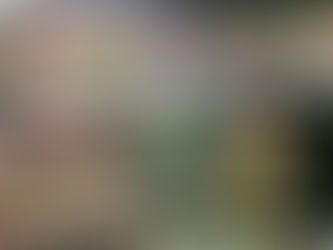 Collectible Funko Pop figurines in boxes