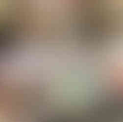 Collectible football cards in antique mall display