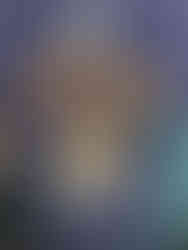 Def Leppard Pyromania vintage tee