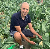 gary-martin-cauliflower-field.jpg
