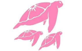 Die Cut Sticker - Three Turtle