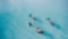 snorkelers in Key West, Florida