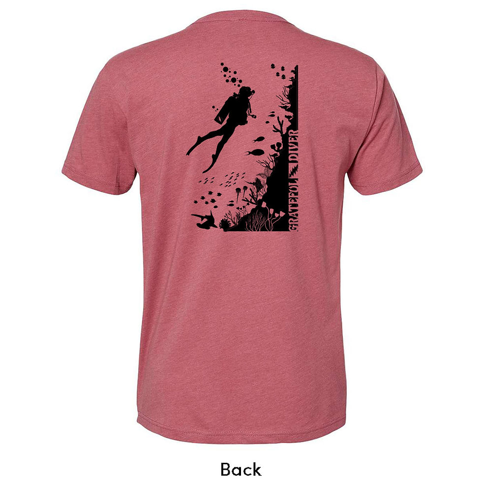 Grateful Diver Wall Diver T-Shirt