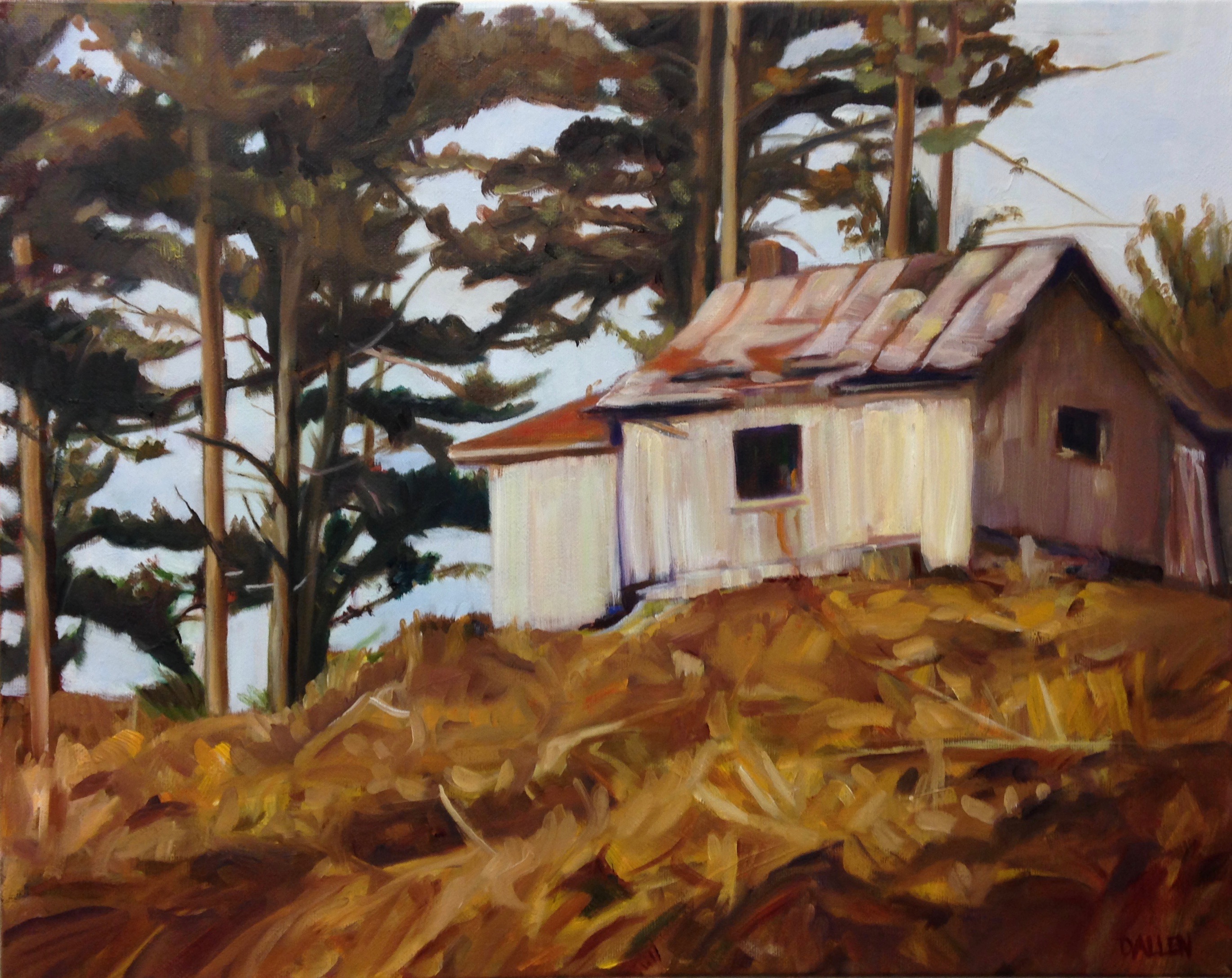 Abandoned Cabin