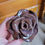Thumbnail: Rose