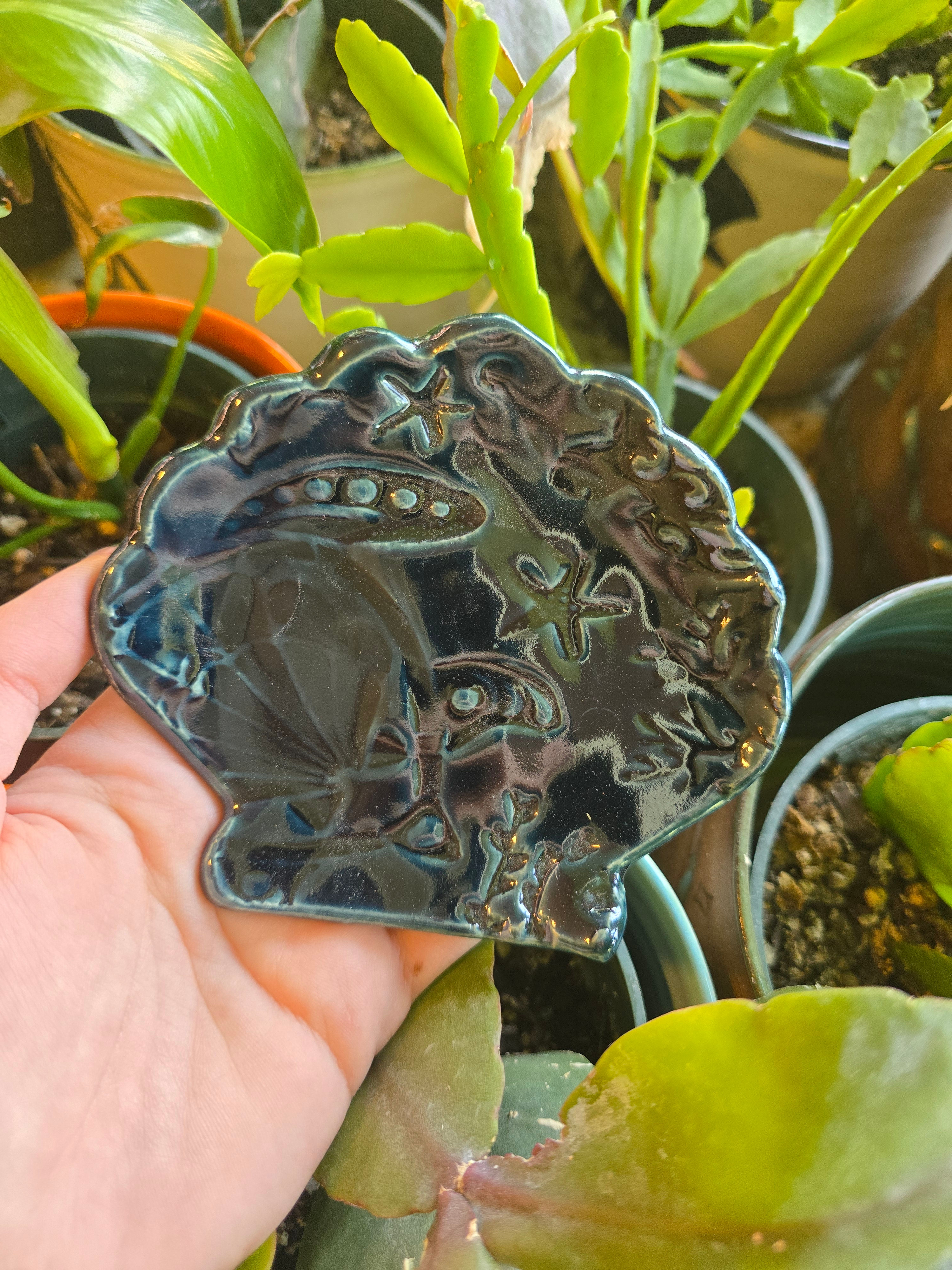 Beach Dish