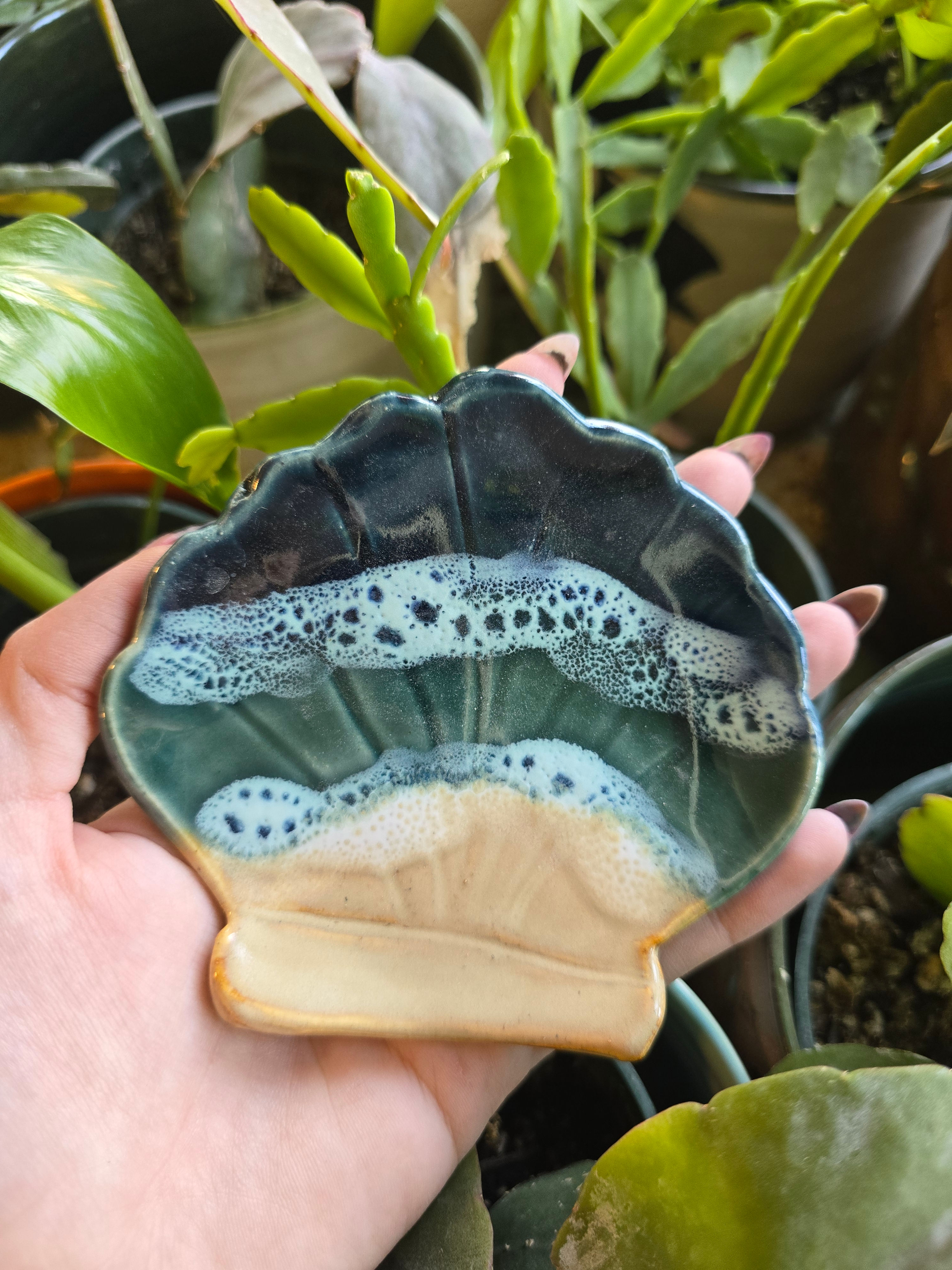 Beach Dish