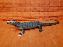 item 002745