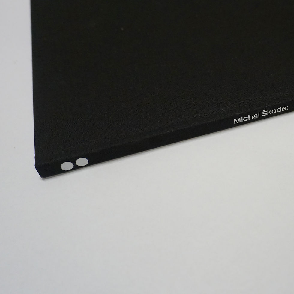 Miniatura: Katalog výstavy MICHAL ŠKODA: TOPOGRAFIE SAMOTY