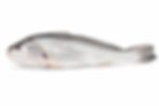 Pescada branca