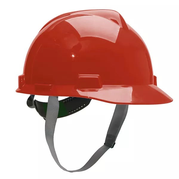 WhatsApp Image 2025-11-19 at 16.07.37.jpeg