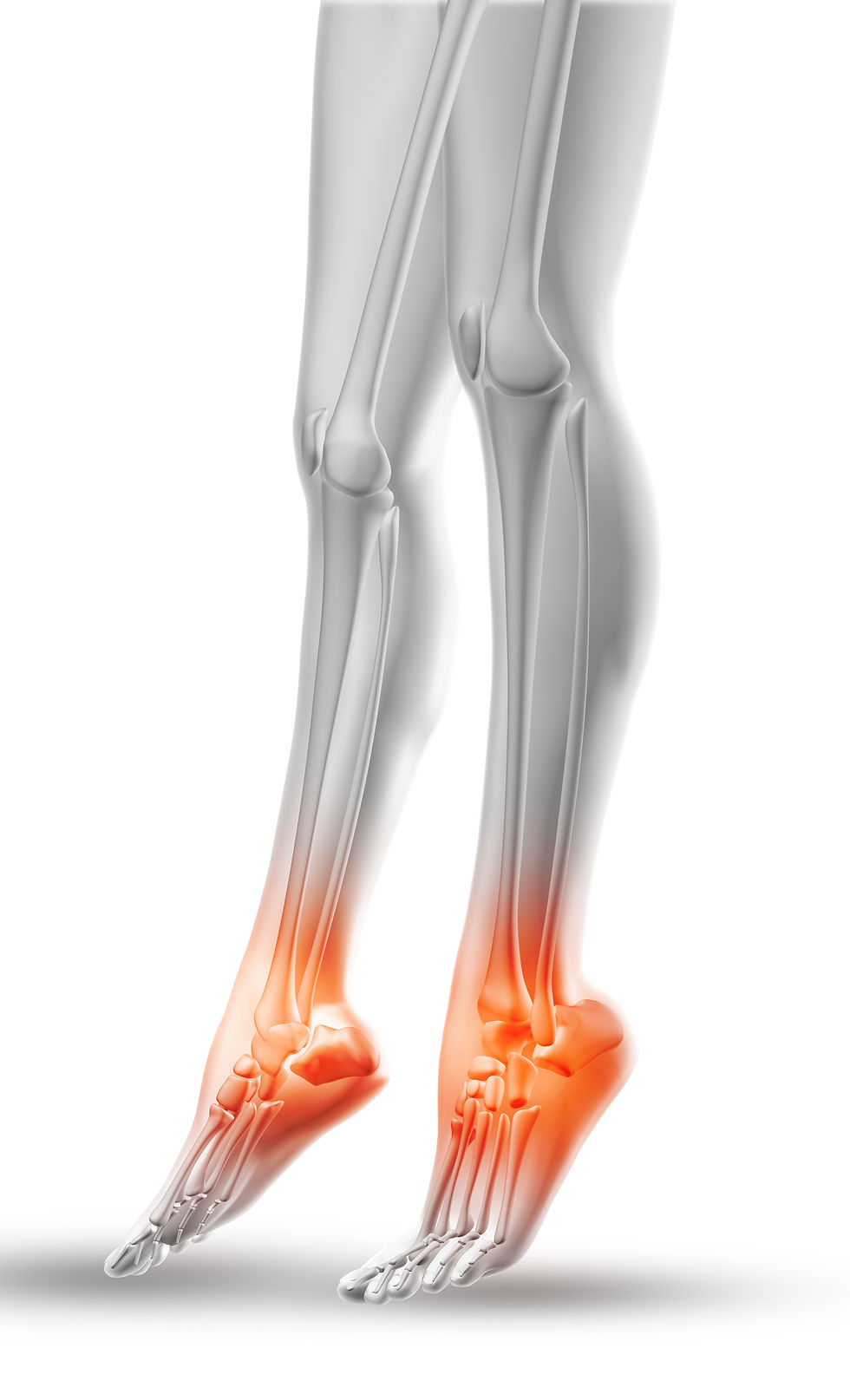 close-up-female-legs-with-ankles-highlighted.jpg