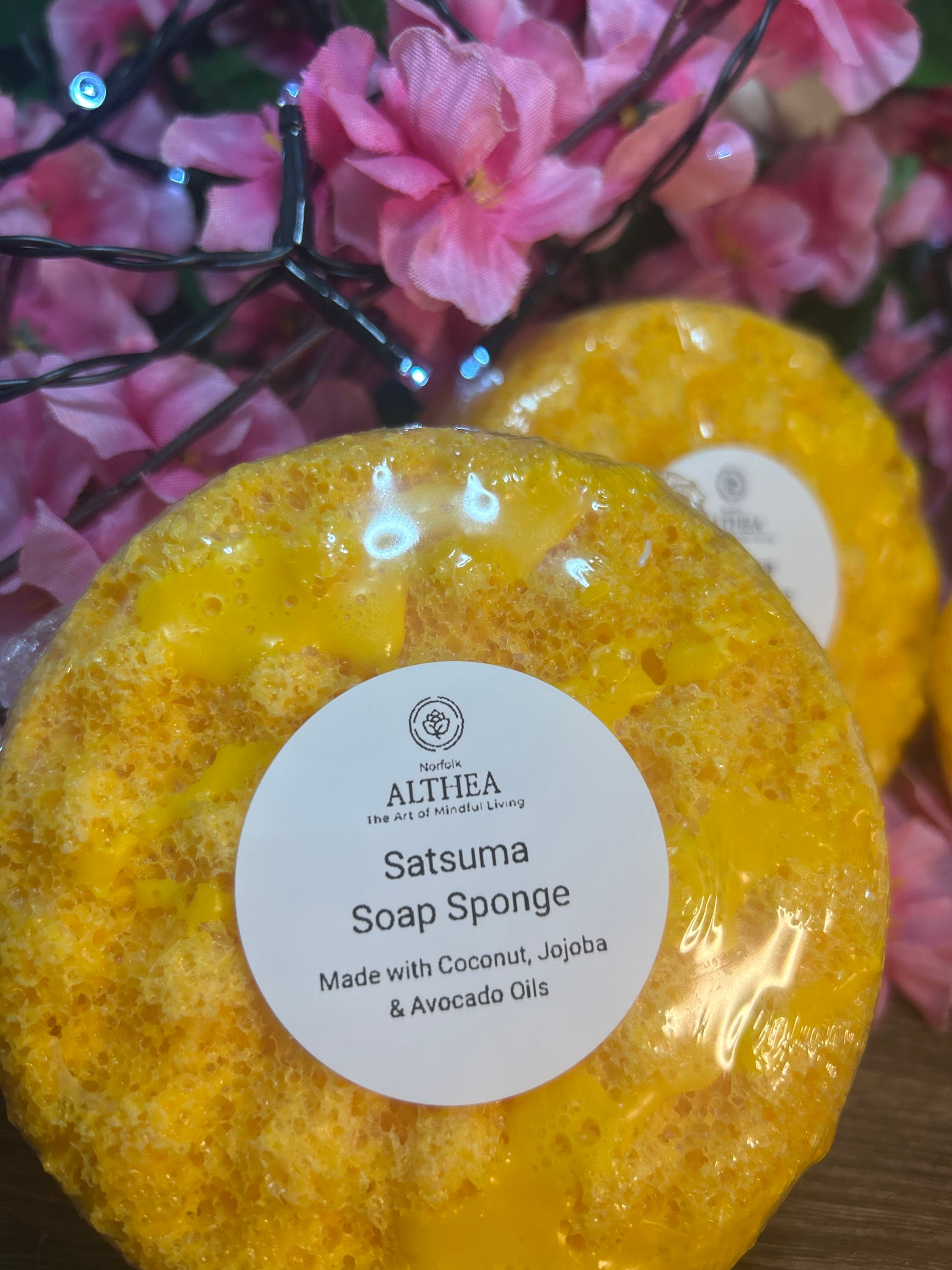 Satsuma Soap Sponge